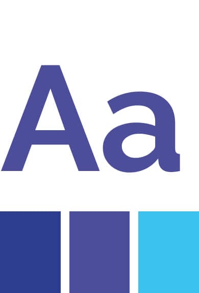 Typography and color palette option for Envision Medical Group.