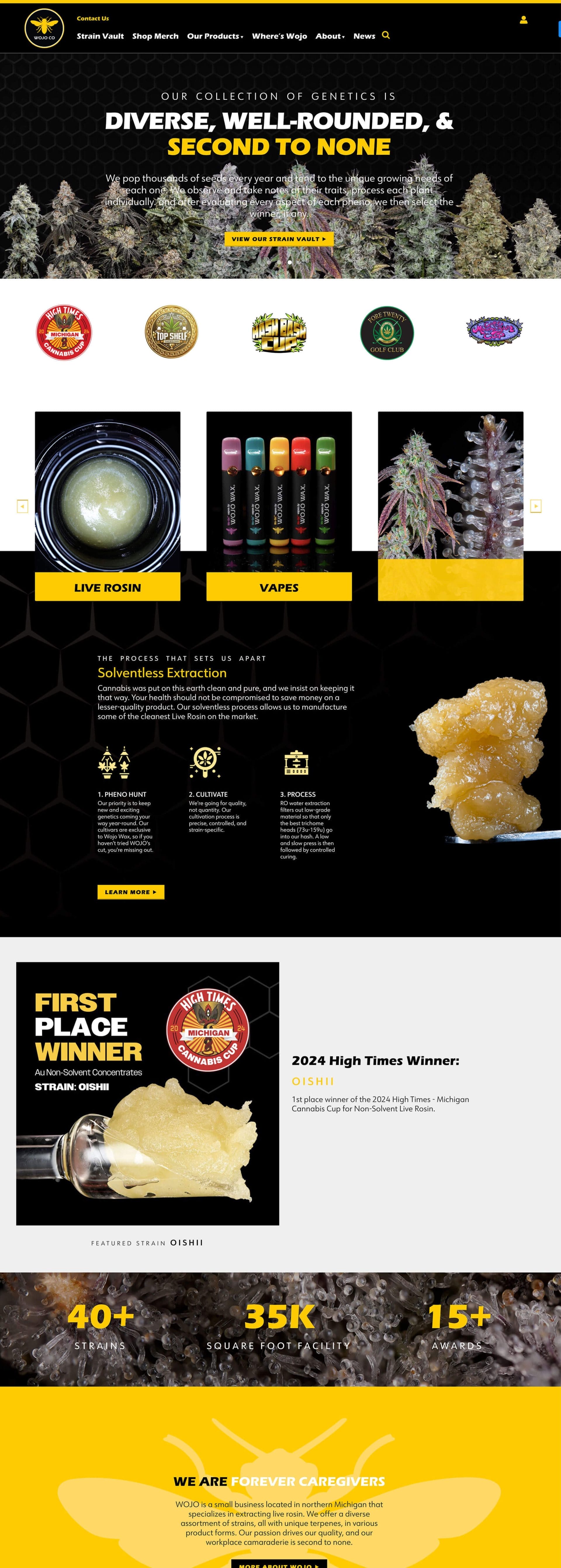 Wojo Wax home page design comp